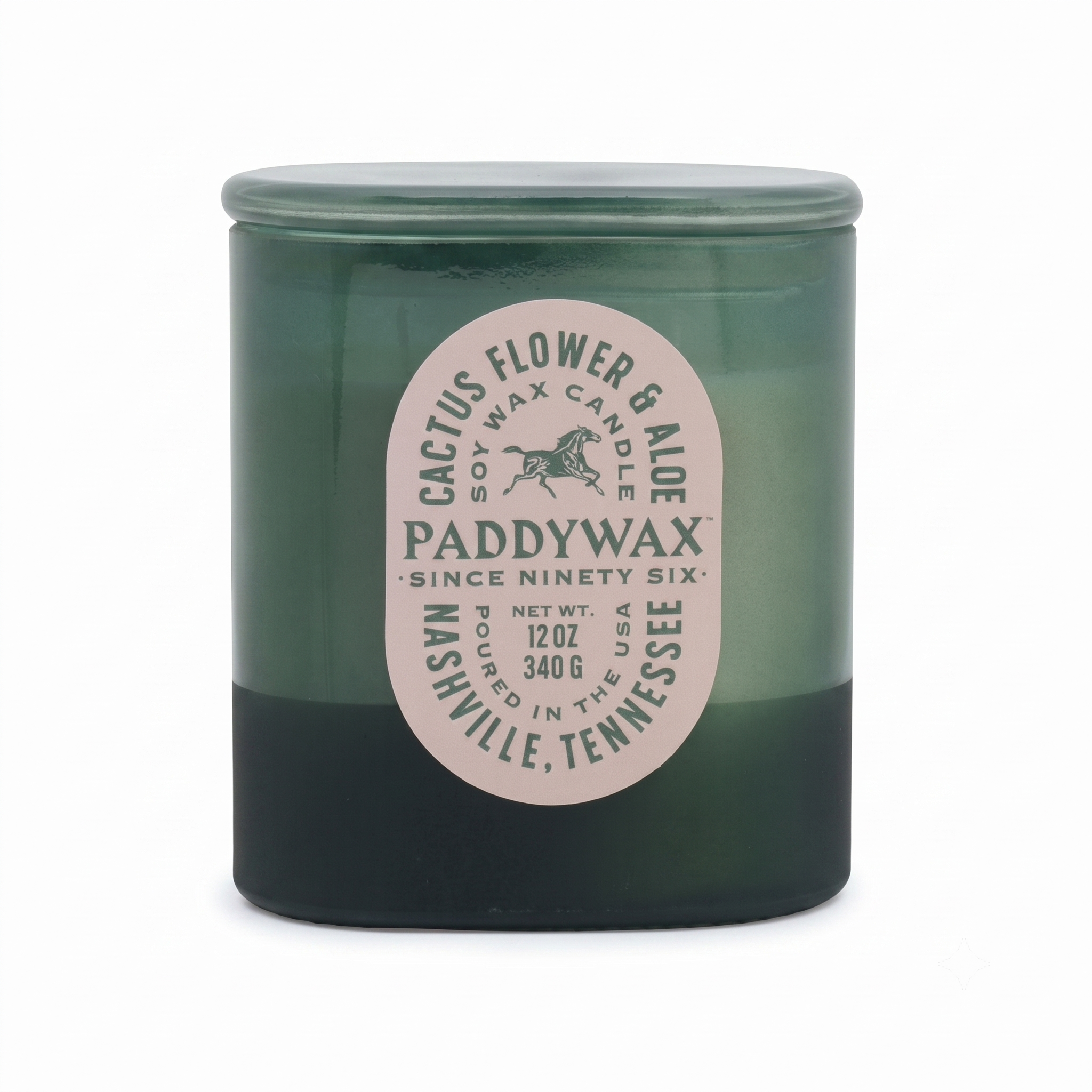 Paddywax Vista Scented Candle with Lid in Reusable Tonal Glass Jar, Clean-Burn 2-Wick Soy Candle with Approx. 84 Hour Burn Time, Decorative Gift Candles for Home, Cactus Flower & Aloe, 12 oz