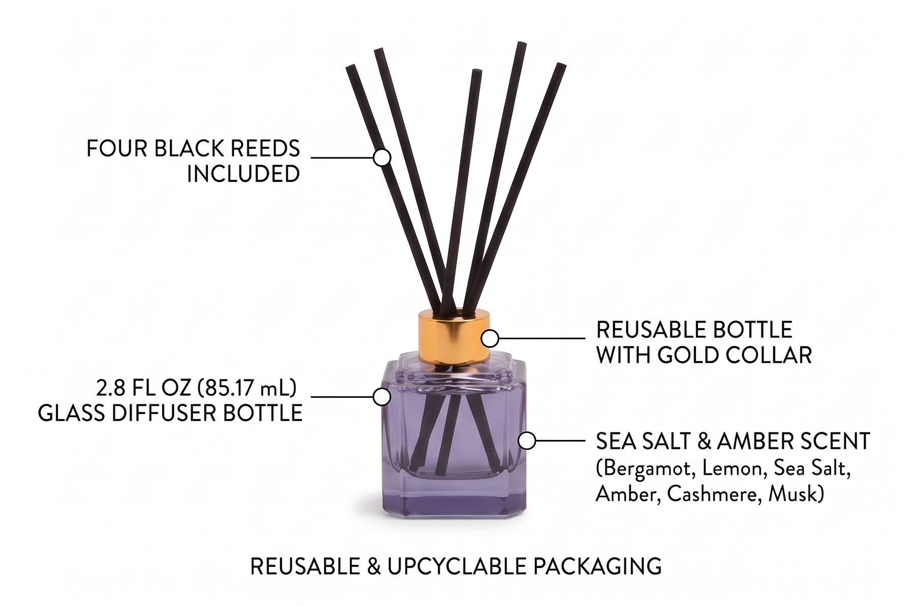 Paddywax Botanica Scented Oil Diffuser with Reeds in Reusable Blue Glass Bottle, Tubed Gift Box, Includes Diffuser Sticks, Long-Lasting Fragrance, Reusable & Upcyclable, Sea Salt & Amber, 2.8 fl oz