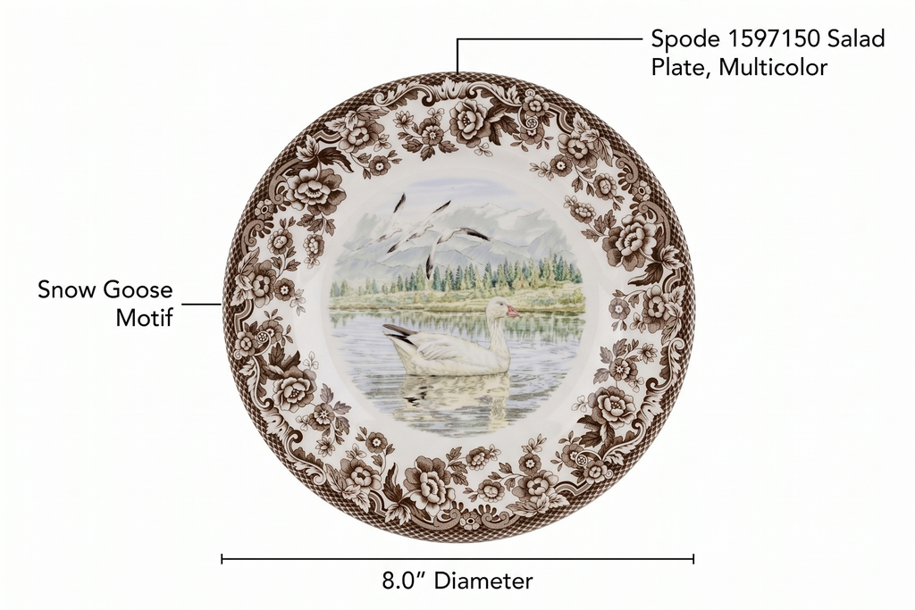 Spode 1597150 Salad Plate, Multicolor