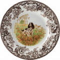 Spode Woodland Hunting Dogs English Springer Spaniel Dinner Plate