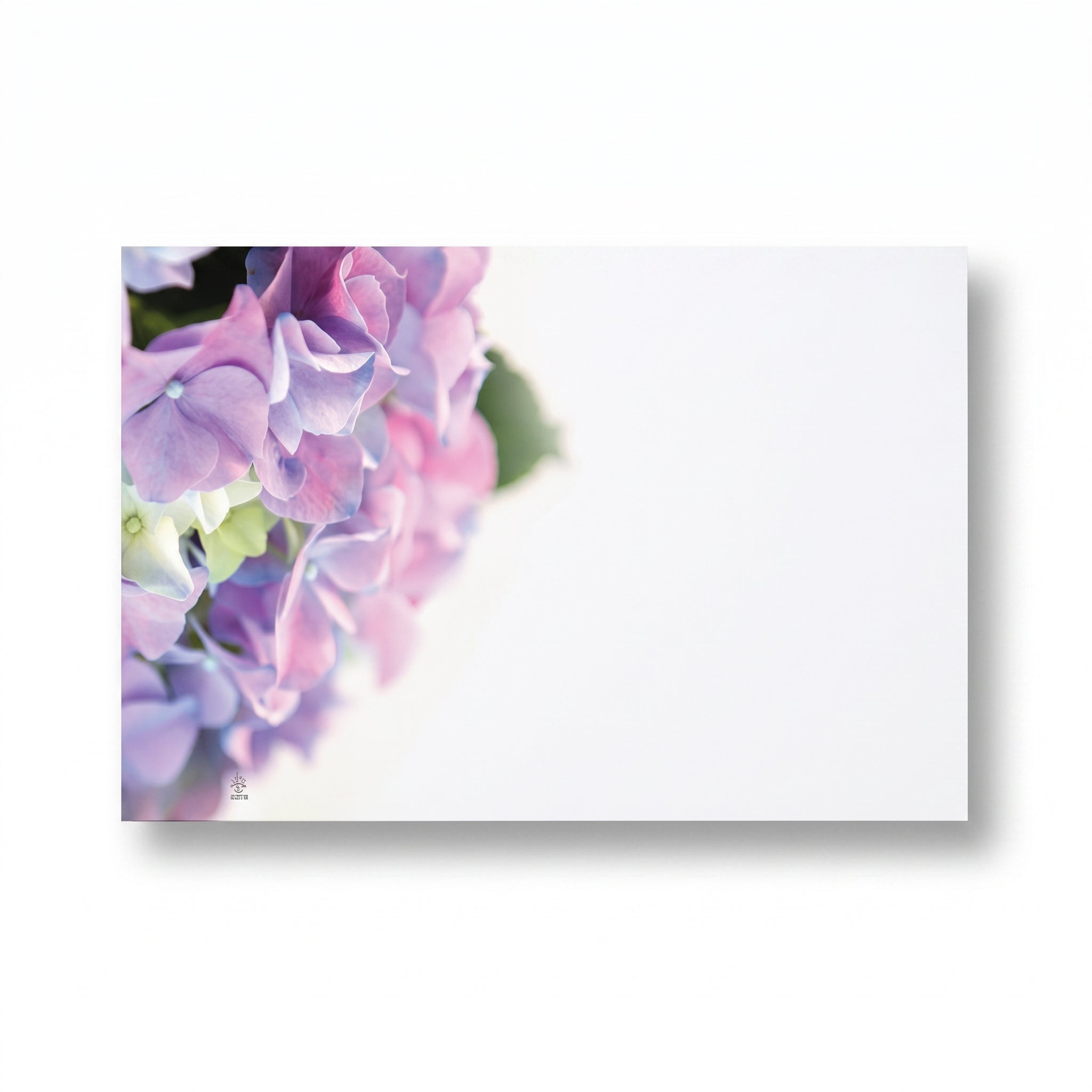 Hydrangea Spring Floral Enclosure Cards, Pack of 50