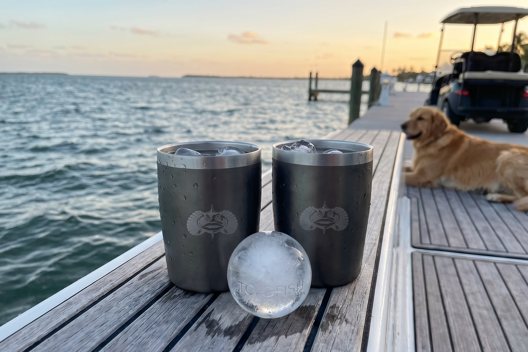 Toadfish Non-tipping 10oz Double Wall Insulated Stainless Steel Rocks Tumbler 2-Pack Gift Set w/Ice Ball Tray & Easy Slide Lid - Graphite
