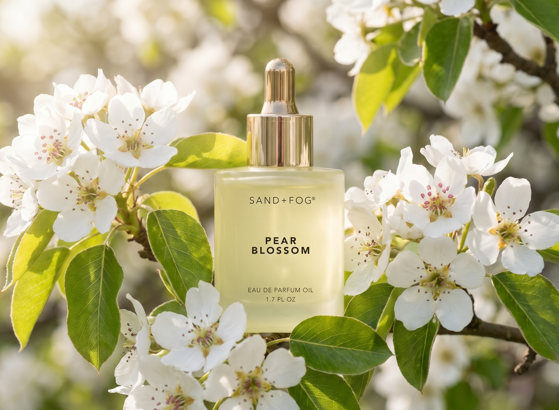 Sand + Fog Pear Blossom Eau de Parfum Dropper Oil for Women, 50 ml, 1.69 FL OZ Unboxed